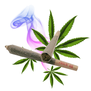Un joint de cannabis de la marque LE SPLIFF®, montrant l'intérieur de la fleur, sur un fond abstrait de formes géométriques vertes et de feuilles de cannabis, avec une silhouette humaine en bleu et rose.